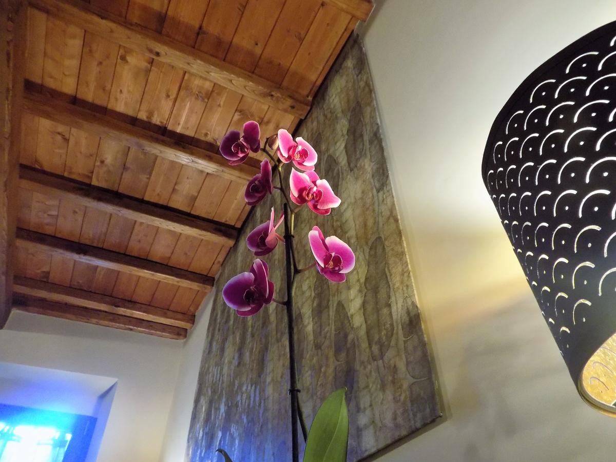 Bed and Breakfast Al Cardinale Витербо Экстерьер фото